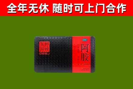伽师县回收阿胶